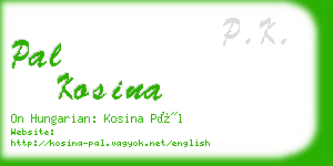 pal kosina business card